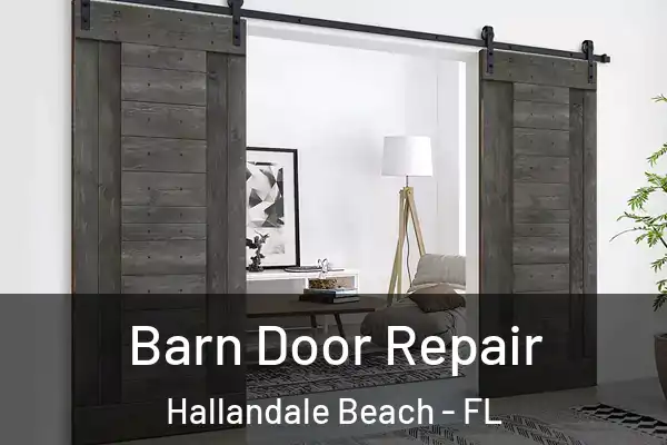 Barn Door Repair Hallandale Beach - FL