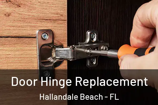  Door Hinge Replacement Hallandale Beach - FL