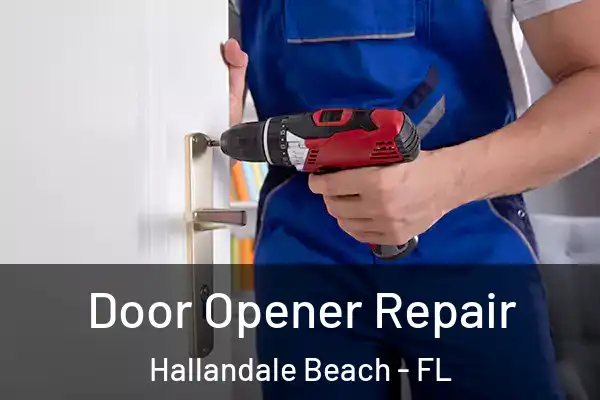 Door Opener Repair Hallandale Beach - FL