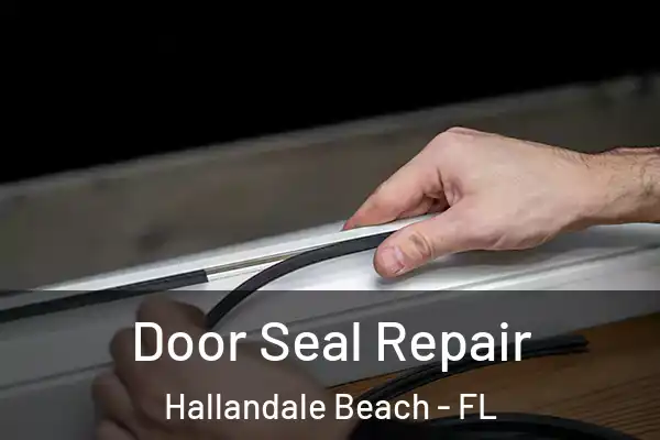  Door Seal Repair Hallandale Beach - FL