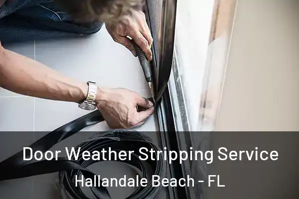  Door Weather Stripping Service Hallandale Beach - FL