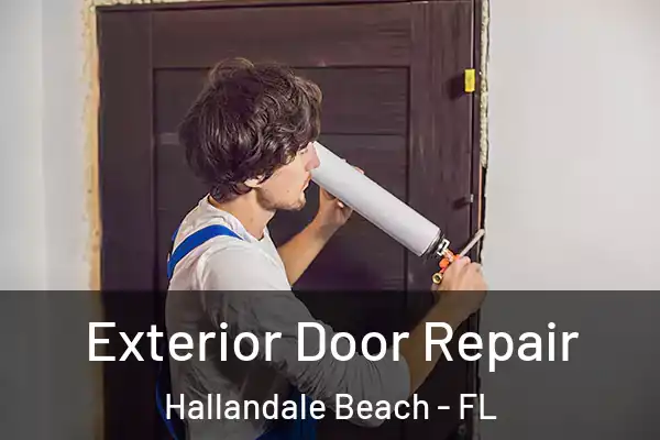  Exterior Door Repair Hallandale Beach - FL