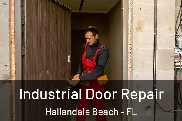  Industrial Door Repair Hallandale Beach - FL