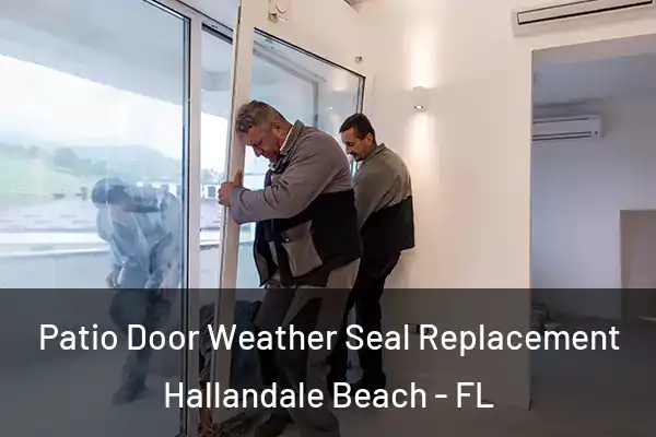 Patio Door Weather Seal Replacement Hallandale Beach - FL