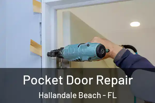  Pocket Door Repair Hallandale Beach - FL