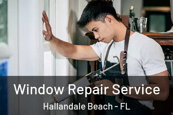 Window Repair Service Hallandale Beach - FL